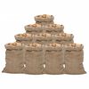 vidaXL Jutezakken 10 stuks 340 g/m&sup2; 60x105 cm 100% jute