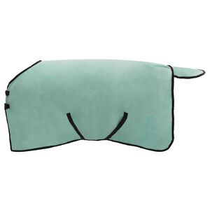 vidaXL Paardendeken Speciale Groen 75 cm Polyester