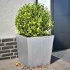 vidaXL Plantenbakken 2 st 50x50x50 cm gegalvaniseerd staal