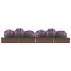 Miniatuurafbeelding van het product 2 van 6
