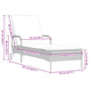 vidaXL Ligstoelen 2 st met kussen poly rattan lichtgrijs