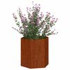 vidaXL Plantenbak roestig 40x40x45 cm cortenstaal