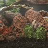 Miniatuurafbeelding van het product 2 van 5