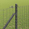 Miniatuurafbeelding van het product 4 van 16