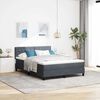 vidaXL Boxspringbed met matras Donkergrijs 160 x 200 cm Fluweel