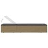 vidaXL Ligbed poly rattan bruin en donkergrijs