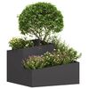 Miniatuurafbeelding van het product 3 van 12