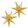 vidaXL Kerstverlichting RAAHE 2 st 10 LED's Warmwit 60 x 6 x 60 cm