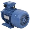 vidaXL Elektromotor 3 fase 4 kW/5,5 pk 2-polig 2840 rpm aluminium