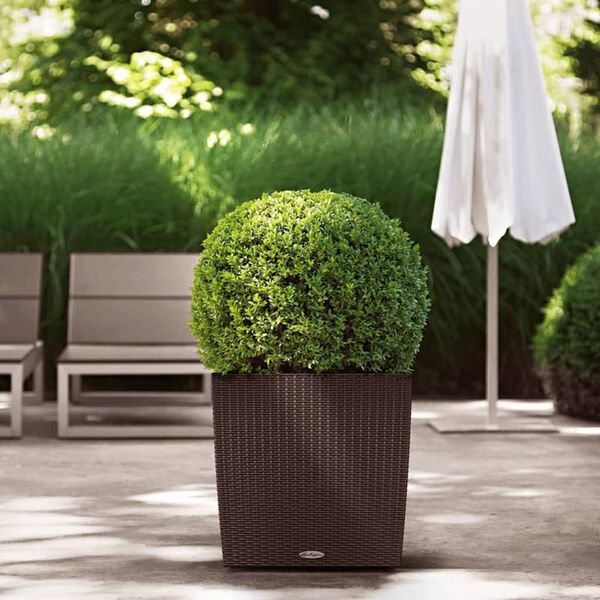 LECHUZA Plantenbak CUBE Cottage 50 ALL-IN-ONE mokkakleurig
