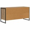 vidaXL TV-kast Ambachtelijk eiken 100 x 36 x 49,5 cm Bewerkt hout