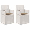 vidaXL Tuin Eetstoelen 2 st Wit en Taupe PP