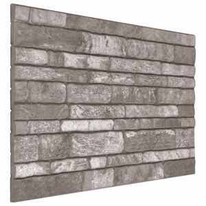 vidaXL Wandpanelen 10 st 100 x 50 cm Donkergrijs EPS-schuim