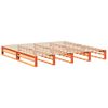 vidaXL Bedframe zonder matras massief grenenhout wasbruin 180x200 cm