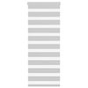 vidaXL Zebra rolgordijn 60x100 cm stofbreedte 55,9 cm lichtgrijs