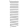 vidaXL Zebra rolgordijn 55x150 cm stofbreedte 50,9 cm lichtgrijs