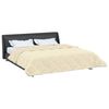vidaXL Vol jaar dekbed Cr&egrave;me 220 x 260 cm Microfiber en Teddy fleece