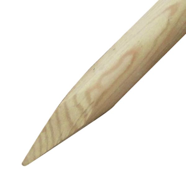 vidaXL Schuttingpalen 6 st 170 cm hout