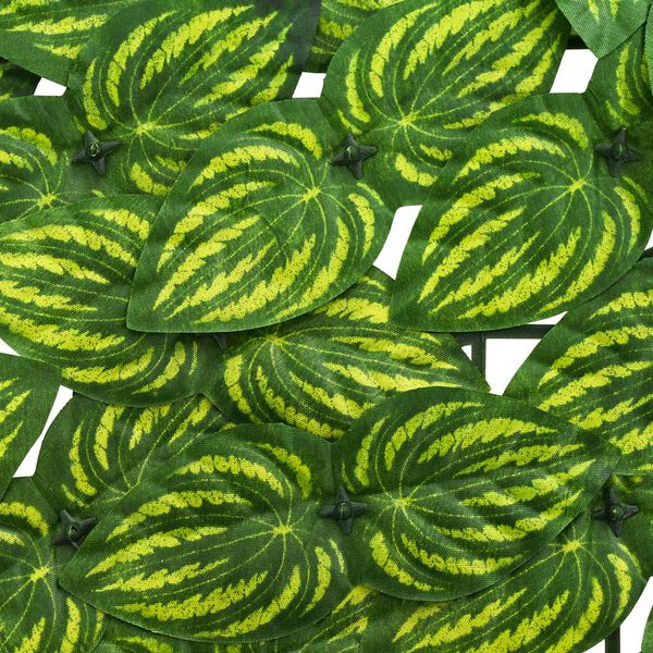 Productafbeelding 4 van 6