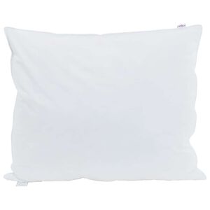 vidaXL Hoofdkussen 2 st 60 x 70 cm Veren Wit