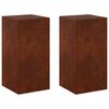 vidaXL Plantenstandaard 2 pcs Roestkleurig 30 x 30 x 60 cm