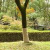 Miniatuurafbeelding van het product 2 van 7