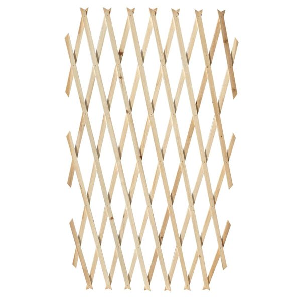 vidaXL Tuinlatwerk 5 st 180x90 cm massief hout