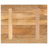vidaXL Tafelblad rechthoekig 60x50x3,8 cm massief mangohout