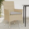 vidaXL Tuinstoelen 2 st met kussens poly rattan beige