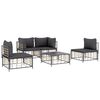 vidaXL 5-delige Loungeset met kussens poly rattan antracietkleurig