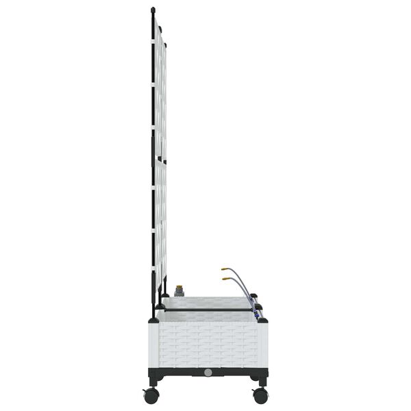 Productafbeelding 3 van 8