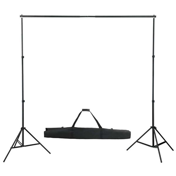 vidaXL Fotostudioset met softboxlampen, achtergrond en reflector