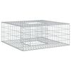 vidaXL Gabion Verhoogd Bed Zilver 100 x 100 x 40 cm