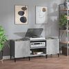 vidaXL Platenkast 121x38x48 cm bewerkt hout betongrijs