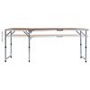 vidaXL Campingtafel inklapbaar 180x60 cm aluminium