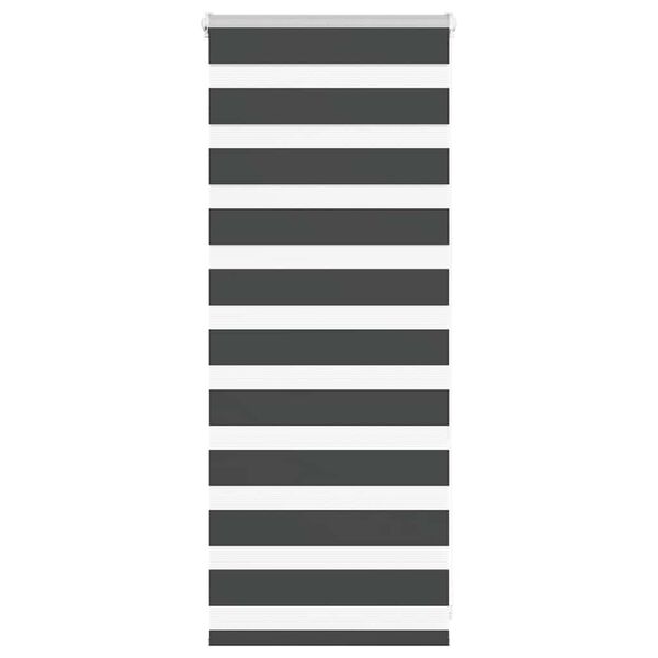 vidaXL Zebra rolgordijn 65x100 cm stofbreedte 60,9 cm zwart