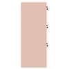 vidaXL Bestandenkast Roze 45,5 x 42 x 106,5 cm Koudgewalst Staal
