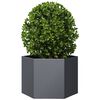 Miniatuurafbeelding van het product 3 van 10