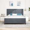 vidaXL Boxspringbed met matras Donkergrijs 180 x 200 cm Fluweel