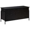 Black_oak