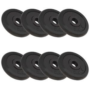 vidaXL Halterschijven 8 st 8x2,5 kg gietijzer