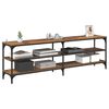 vidaXL TV-kast Oud Hout 160 x 30 x 50 cm Gemonteerd hout en ijzer