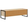 vidaXL TV-kast Sonoma 100 x 36.5 x 30.5 cm Bewerkt hout