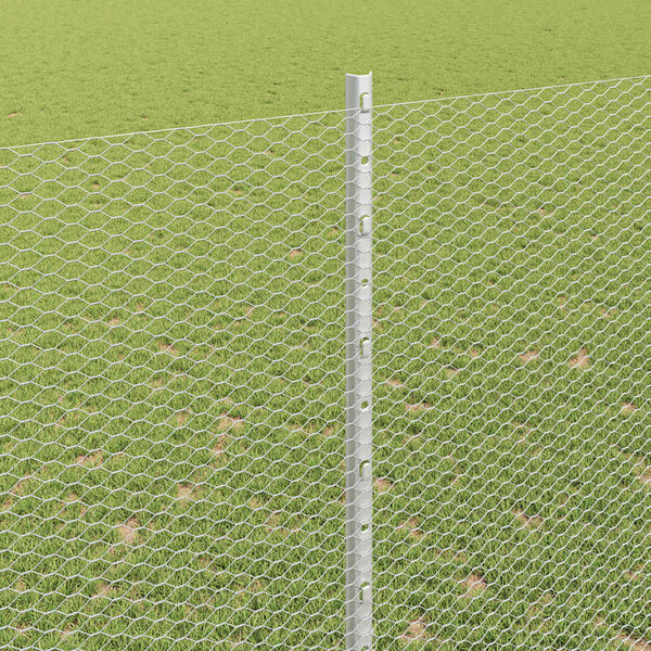 vidaXL Hek en paal Zilver 1,6 x 50 m Staal