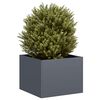 Miniatuurafbeelding van het product 2 van 9