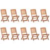 vidaXL 11-delige Tuinset 220x90x75 cm massief acaciahout