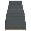 vidaXL Ligbed met kussen 55x199x50 cm poly rattan lichtgrijs