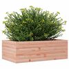 vidaXL Plantenbak 70x40x23 cm massief douglashout