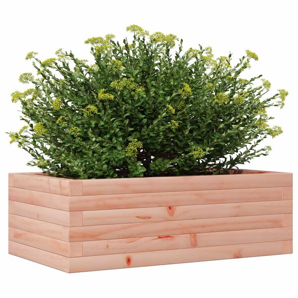 vidaXL Plantenbak 70x40x23 cm massief douglashout