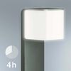 Miniatuurafbeelding van het product 5 van 5